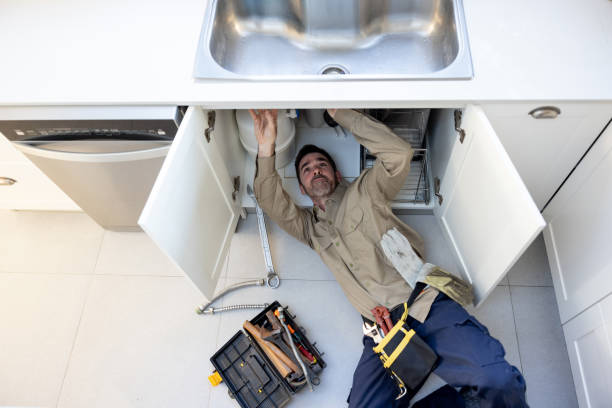 Best Sewer Line Repair  in Wilton, IA