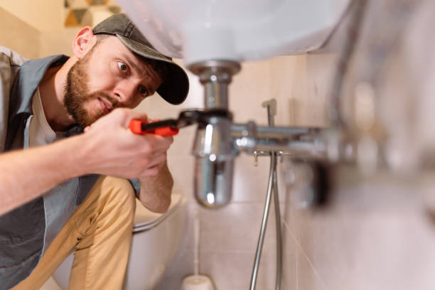 Best Residential Plumbing Services  in Wilton, IA