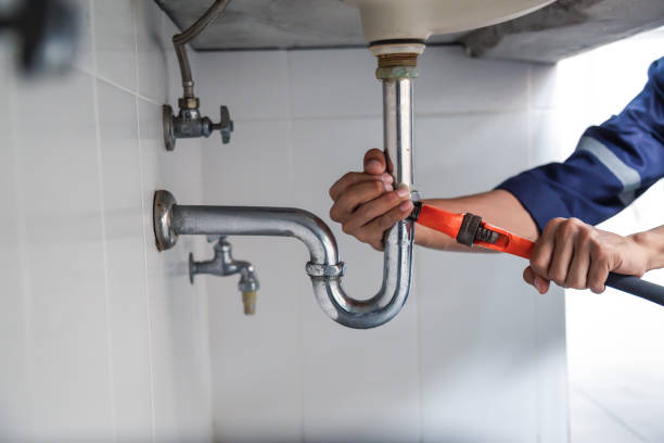 Best Same-Day Plumbing Service  in Wilton, IA