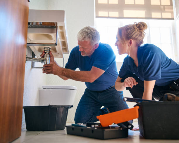 Best Commercial Plumbing Services  in Wilton, IA