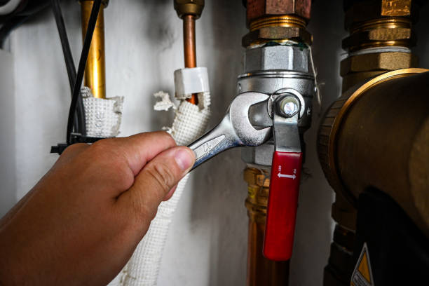 Best Plumbing Repair Near Me  in Wilton, IA